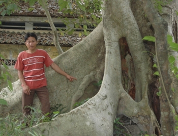 Thực hư chuyện “rắn tu“ ở ngôi chùa nổi tiếng miền Trung