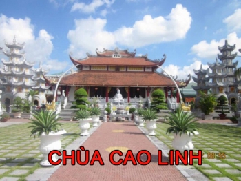 Bài học cho các Ban Trị Sự và công tác xây dựng Giáo hội đoàn kết từ sự việc trụ trì chùa Cao Linh