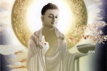 Tin vào nhân quả