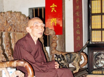 Đại lão HT.Thích Thanh Bích, Phó Pháp chủ GHPGVN viên tịch