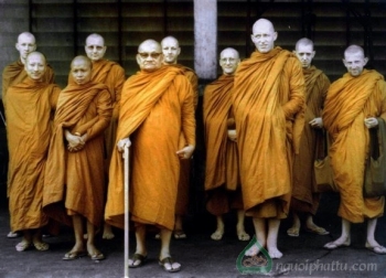 Hỏi đáp tu tập với nhà sư Ajahn Chah