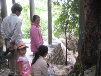 Sự thật về “Phật hiện hình trên gốc cây”