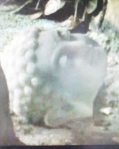 Thư của một bạn đọc gửi những người đập phá tượng Phật tại Bình Phước