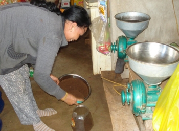 Hiểu luật nhân quả từ bỏ sản xuất café ngô