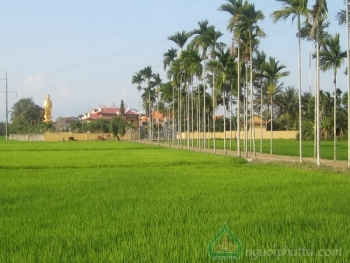 Ngày xuân thăm ngôi chùa cổ Bảo Long