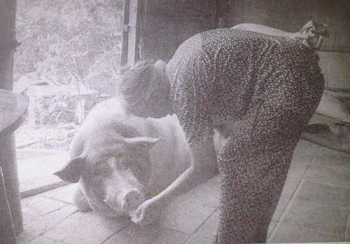 Ly kỳ chuyện "nữ thí chủ heo" cốt tinh của người quy y cửa Phật