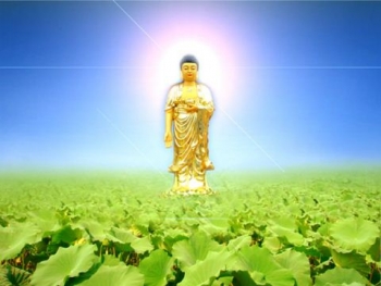 Trả lời câu hỏi của cư sĩ Hư Lực thay lời kết - Tự tính Di Đà