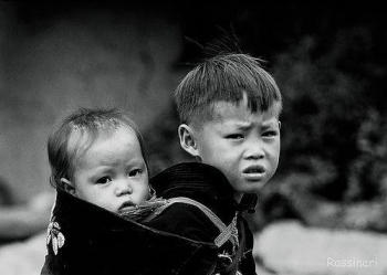 Hạt cơm mùa Vu lan