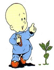 Thế nào là Y Nghĩa bất Y Ngữ ?