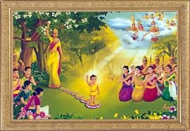 Mùa Phật đản nên gọi Đản sanh, Thị hiện, hay Giáng trần