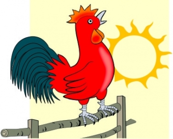 Chỉ vì một con gà