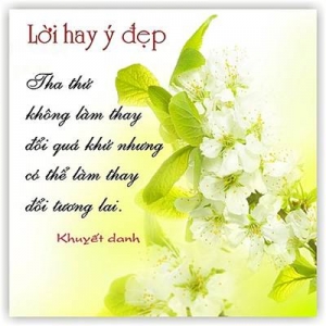 Sưu tầm những câu nói hay