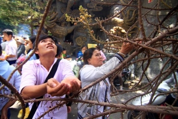 Chờ hàng giờ hứng hoa Sa La rụng trong ngày Vu Lan