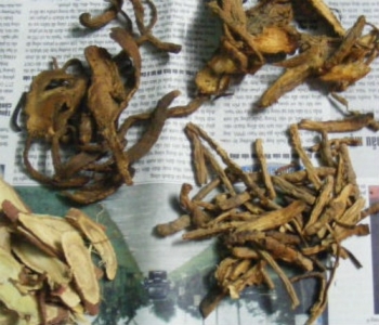 Bài thuốc “cứu tinh” cho bệnh nhân thần kinh toạ