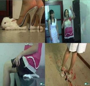 Rợn người trào lưu giẫm đạp thú vật đến chết