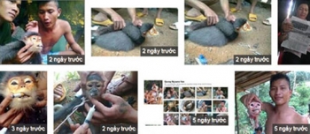 Thú ăn chơi 'biến thái' tàn ác của đại gia