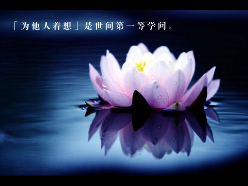 Hiểu đời - Hiểu đạo (Kỳ 2)