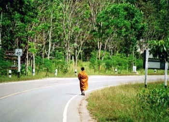 Trầm tư về con người hiện đại