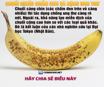 Món ăn mỗi ngày để phòng ngừa ung thư