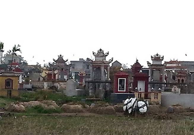 Thực hư chuyện trâu bò báo oán quật mả các đồ tể