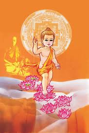 Mừng ngày Khánh đản