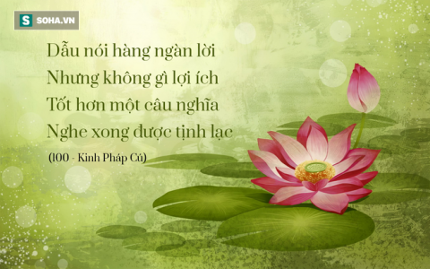 Khẩu nghiệp ở Việt Nam đang rất nặng!