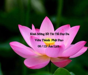 Khi bên trời sao Mai vừa mọc