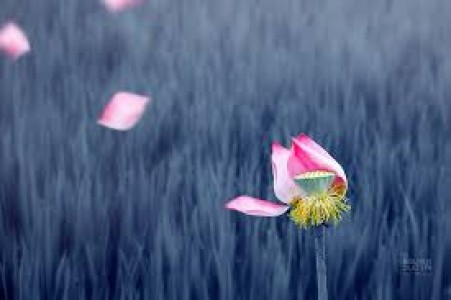 Khi ta bị tâm thần...