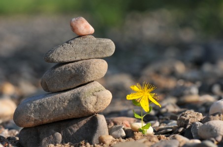 Không chạy trốn khổ đau