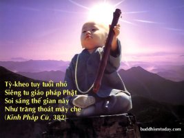 Phần diễn nghĩa câu hai trong bài pháp cú 1