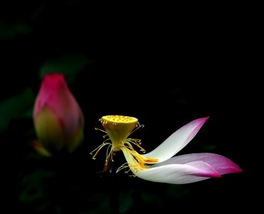 Làm chủ bản thân để vượt qua sống chết 