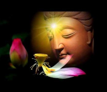 Lấp lánh những góc nhìn huyền diệu (P.2)