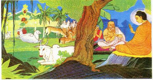 Nhân quả báo ứng của vị Tỳ kheo ác khẩu