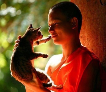 Lợi ích của việc thọ giới và giữ giới