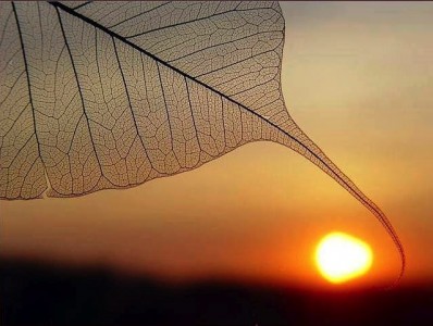 Lý Tưởng của người Bồ-tát - Sự bừng tỉnh của con tim bồ-đề (Bài 10)