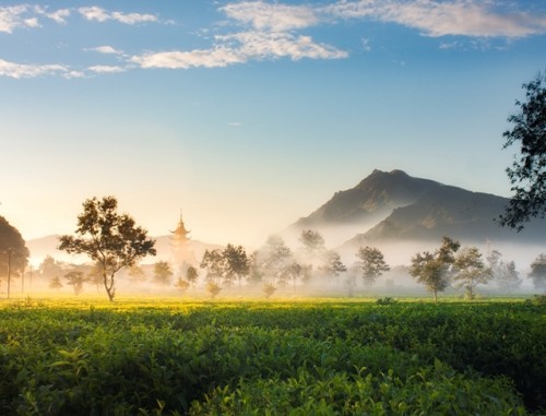 Muôn đời nương nhau