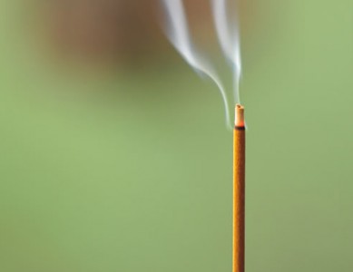 Nén nhang muộn màng kính viếng nghệ sĩ Đoàn Yên Linh