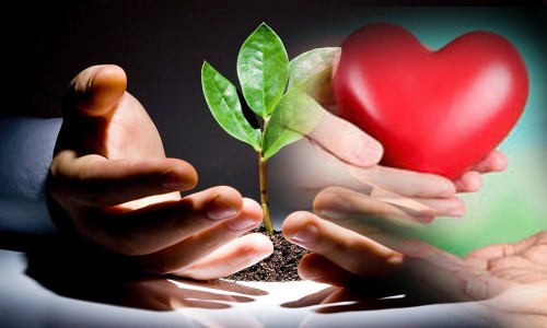 Ngẫm về 'từ thiện và lương tâm'