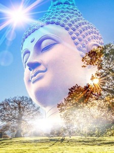 Nghĩ khác đi để hạnh phúc giữa ưu phiền