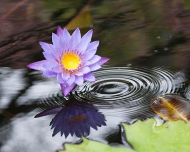 Nghiệp là gì và làm gì khi nghiệp đến