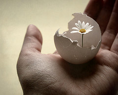 Nghiệp quyết định sự tái sinh