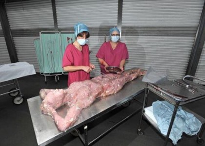 'Nghĩa địa' nào lớn nhất thế gian ?