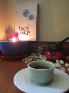 Giới thiệu sách mới “Trồng hoa không cho mọc rễ” 