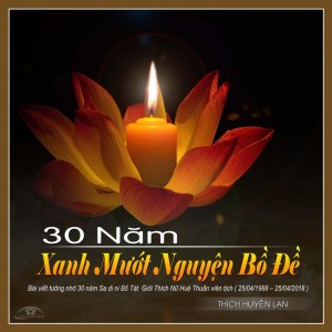 30 năm xanh mướt nguyện Bồ đề