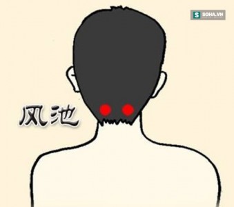 Những huyệt vị xoa bóp hàng ngày trị bệnh, tăng cường sức khỏe