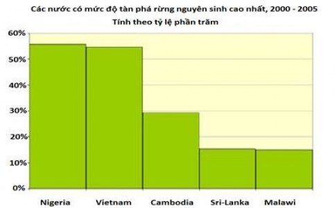 Bảo vệ trái đất: Tôi tham gia trồng rừng bằng bàn phím vi tính (bài 1)
