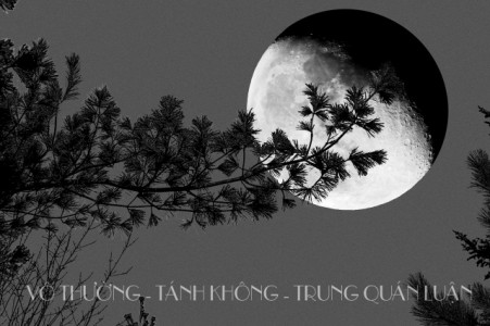 Bồ tát Long Thọ với Vô thường,Tánh không và Trung quán luận