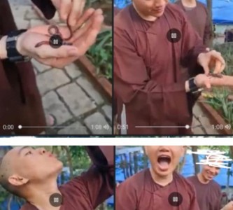 Buồn vui nơi cửa Đạo những ngày qua