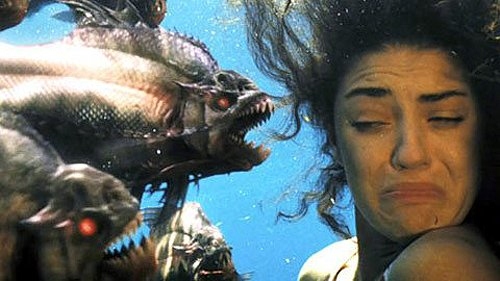 Phóng sinh cá chim trắng: Hậu quả khôn lường!