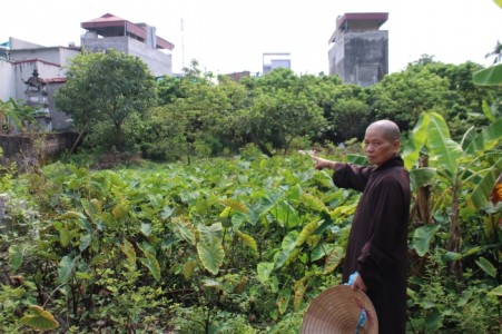 Hưng Yên: Chùa Nễ Châu 'Di tích Quốc gia đặc biệt ' kêu cứu